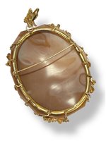 Spilla Mandile 1922 Donna Cammei  in Argento Conchiglia 2MSPC23 - 2MSPC23